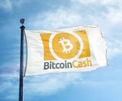 bitcoin cash BCH review
