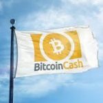 bitcoin cash BCH review