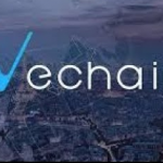 VeChain VEN cryptocurrency review